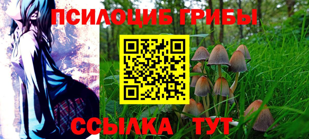 Псилоцибиновые грибы Psilocybine cubensis  где продают наркотики  Новороссийск  Псилоцибиновые грибы мухоморы  Вход с VPN 