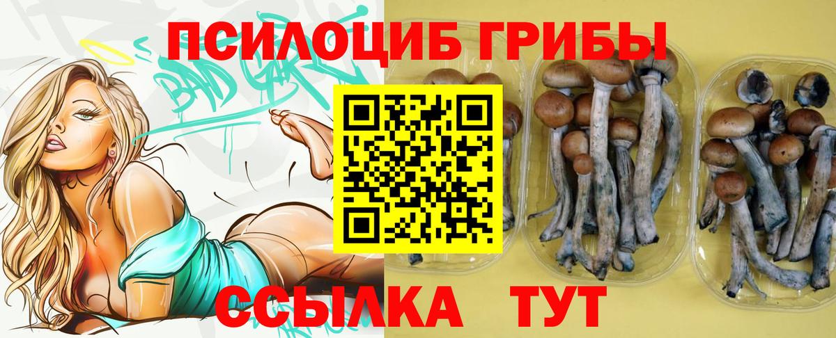 Галлюциногенные грибы GOLDEN TEACHER Новороссийск